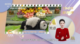 成年视屏